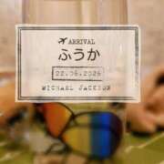 ヒメ日記 2026/06/23 11:30 投稿 ふうか あとりえ(ATELIER)