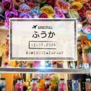 ヒメ日記 2026/07/05 11:30 投稿 ふうか あとりえ(ATELIER)
