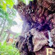 ヒメ日記 2026/07/13 11:31 投稿 ふうか あとりえ(ATELIER)