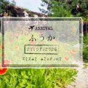 ヒメ日記 2026/07/24 10:02 投稿 ふうか あとりえ(ATELIER)