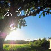 ヒメ日記 2026/07/25 11:30 投稿 ふうか あとりえ(ATELIER)