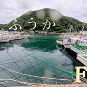 ヒメ日記 2026/07/31 11:40 投稿 ふうか あとりえ(ATELIER)