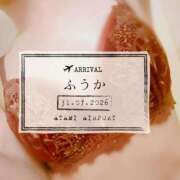 ヒメ日記 2026/08/01 17:01 投稿 ふうか あとりえ(ATELIER)