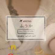 ヒメ日記 2026/08/25 08:01 投稿 ふうか あとりえ(ATELIER)