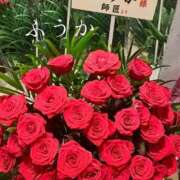 ヒメ日記 2026/09/06 11:30 投稿 ふうか あとりえ(ATELIER)