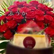 ヒメ日記 2026/09/13 11:30 投稿 ふうか あとりえ(ATELIER)