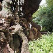 ヒメ日記 2026/09/16 11:30 投稿 ふうか あとりえ(ATELIER)