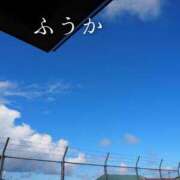 ヒメ日記 2026/09/26 11:31 投稿 ふうか あとりえ(ATELIER)