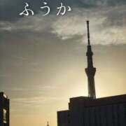 ヒメ日記 2026/10/20 11:30 投稿 ふうか あとりえ(ATELIER)