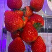 ヒメ日記 2026/03/06 11:36 投稿 りょうこ イクイクサークル鶯谷店