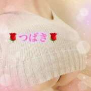 ヒメ日記 2025/10/17 22:10 投稿 つばき あとりえ(ATELIER)