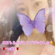 ヒメ日記 2025/11/05 20:27 投稿 つばき あとりえ(ATELIER)