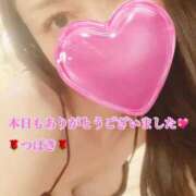 ヒメ日記 2025/11/11 18:57 投稿 つばき あとりえ(ATELIER)