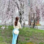 茉里奈【マリナ】 🌸４月🌸 club MARIA(大阪)