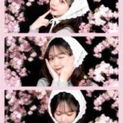 ヒメ日記 2026/04/30 12:20 投稿 るあん【あなた専属アイドル】 STELLA TOKYO－ステラトウキョウ－