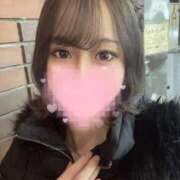 ヒメ日記 2025/11/23 16:00 投稿 みさき 激安ソープの殿堂　ボイン・ホーテ