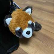 ヒメ日記 2025/09/25 21:42 投稿 麻耶(まや) カリビアンマッサージ 天使のゆびさき 岡山店