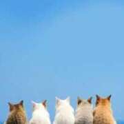 ヒメ日記 2026/01/09 17:04 投稿 麻耶(まや) カリビアンマッサージ 天使のゆびさき 岡山店