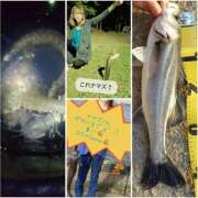 ヒメ日記 2025/11/16 16:35 投稿 りお TSUBAKI（水戸）