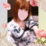 ヒメ日記 2026/03/04 00:25 投稿 りお TSUBAKI（水戸）