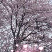 ヒメ日記 2026/04/07 13:04 投稿 りお TSUBAKI（水戸）