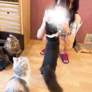 ヒメ日記 2025/09/27 08:20 投稿 なゆ ラブリップ川越