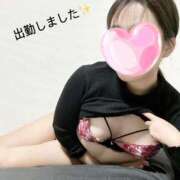 ヒメ日記 2025/12/08 12:04 投稿 つぼみ 艶熟妻 京都店