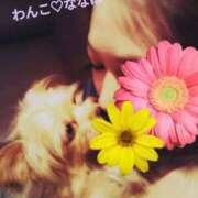 ヒメ日記 2025/10/09 18:35 投稿 ななほ 横浜おかあさん