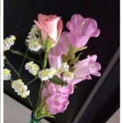 ヒメ日記 2026/01/16 14:45 投稿 ななほ 横浜おかあさん