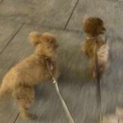 ヒメ日記 2025/10/10 23:03 投稿 もえみ もしも素敵な妻が指輪をはずしたら・・・カーラ