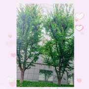 ヒメ日記 2026/08/18 22:34 投稿 青田 鶯うぐ