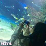 ヒメ日記 2026/01/08 11:48 投稿 みや ぷよステーション 蒲田店