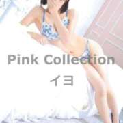 ヒメ日記 2025/10/17 12:33 投稿 イヨ ピンクコレクション大阪