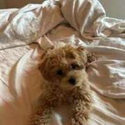 ヒメ日記 2026/02/19 21:08 投稿 イヨ ピンクコレクション大阪