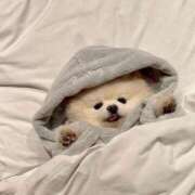 ヒメ日記 2026/02/01 17:19 投稿 イヨ ピンクコレクション大阪キタ店