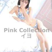 ヒメ日記 2025/10/13 16:18 投稿 イヨ ピンクコレクション尼崎店