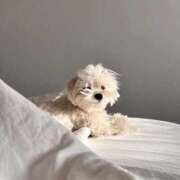 ヒメ日記 2026/01/31 08:32 投稿 イヨ ピンクコレクション尼崎店