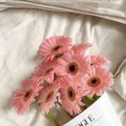 ヒメ日記 2026/02/01 14:22 投稿 イヨ ピンクコレクション尼崎店