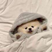 ヒメ日記 2026/02/01 17:18 投稿 イヨ ピンクコレクション尼崎店