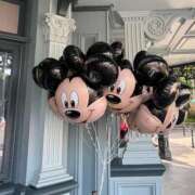 ヒメ日記 2026/02/07 18:42 投稿 イヨ ピンクコレクション尼崎店