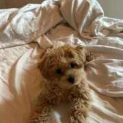 ヒメ日記 2026/02/19 21:19 投稿 イヨ ピンクコレクション尼崎店