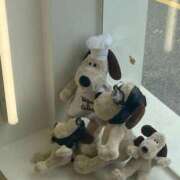 イヨ 2月ラスト❕ ピンクコレクション尼崎店