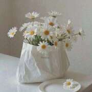 ヒメ日記 2026/03/03 22:12 投稿 イヨ ピンクコレクション尼崎店