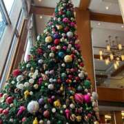 ヒメ日記 2025/12/19 09:31 投稿 あさみ 新橋夜這右衛門娼店～夜這・即尺・痴漢・人妻～