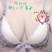 ヒメ日記 2025/12/01 13:47 投稿 もか 熟女家 梅田店