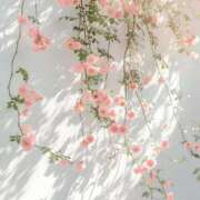 ヒメ日記 2025/09/24 14:31 投稿 中川（なかがわ） 丸妻 錦糸町店