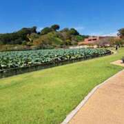 ヒメ日記 2025/09/26 12:45 投稿 三池裕子 五十路マダム 沼津店(カサブランカグループ)