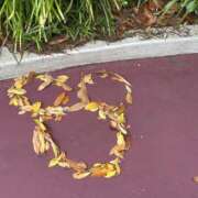 福島 気付けば… MCロイヤル