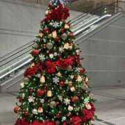 ヒメ日記 2025/12/25 14:36 投稿 福島 MCロイヤル