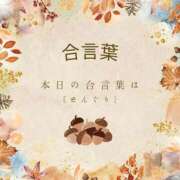 ヒメ日記 2025/10/10 10:28 投稿 夢野きょうか 恋する妻たち